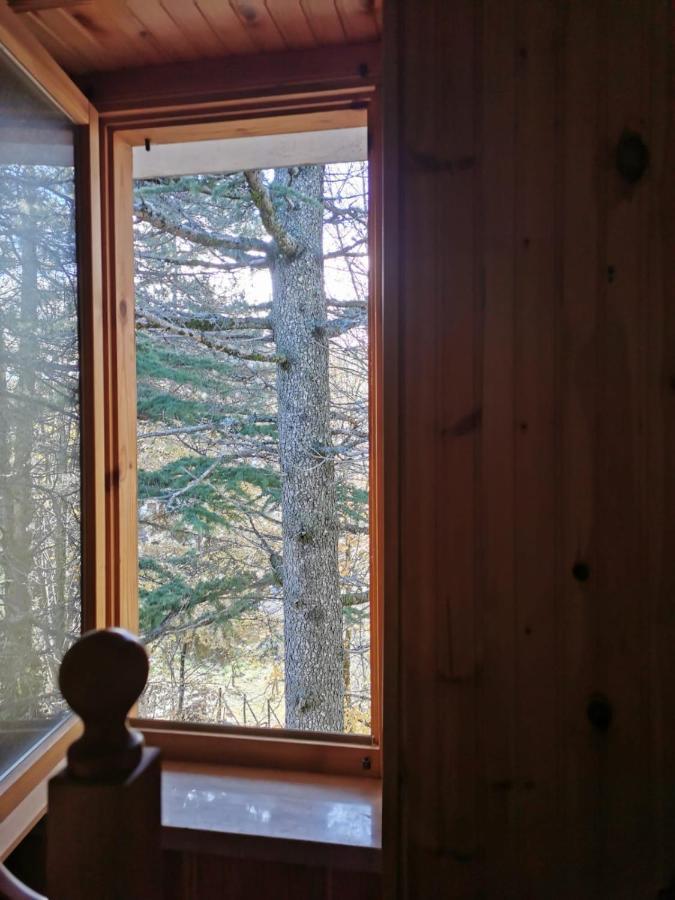 Apartmán La Casa Di Fantalegno Camigliatello Silano Exteriér fotografie